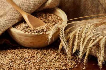 How to Cook Grains Image